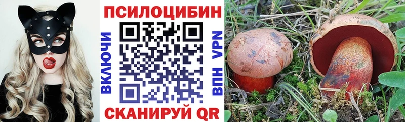 Галлюциногенные грибы мицелий  где продают наркотики  Волгореченск 